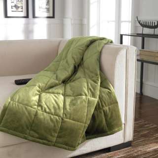 ComfortTech 3M Thinsulate Albany Micromink Plush Blanket  