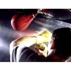  Rear View of a Boxer Punching a Punching Bag Premium 