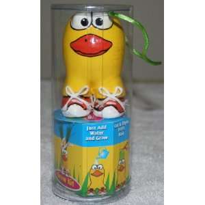  Buzzy Grow Kit   3 Tall Duck Planter with Seeds and Oil 