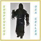 Morris Costumes Ru16306 Ringwraith Adult Hooded Robe with Mesh Face 