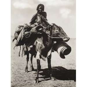  Sudan   Native Woman Riding a Sturdy Brahma Cow   Kordofan 