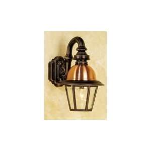   Light Outdoor Wall Light in Verde Copper with Clear Bent Beveled Glass