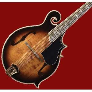  NEW PRO WASHBURN CARVED SOLID TOP MANDOLIN M6SW w/ CASE 